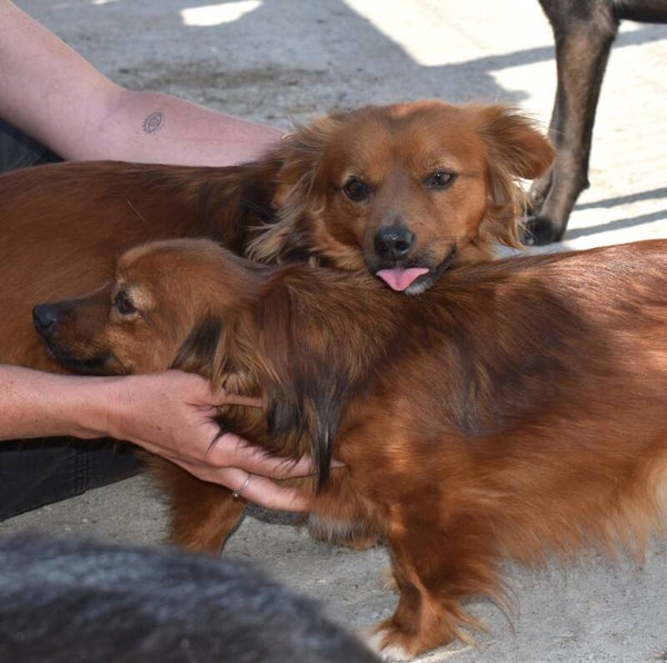 BONNIE & CLYDE