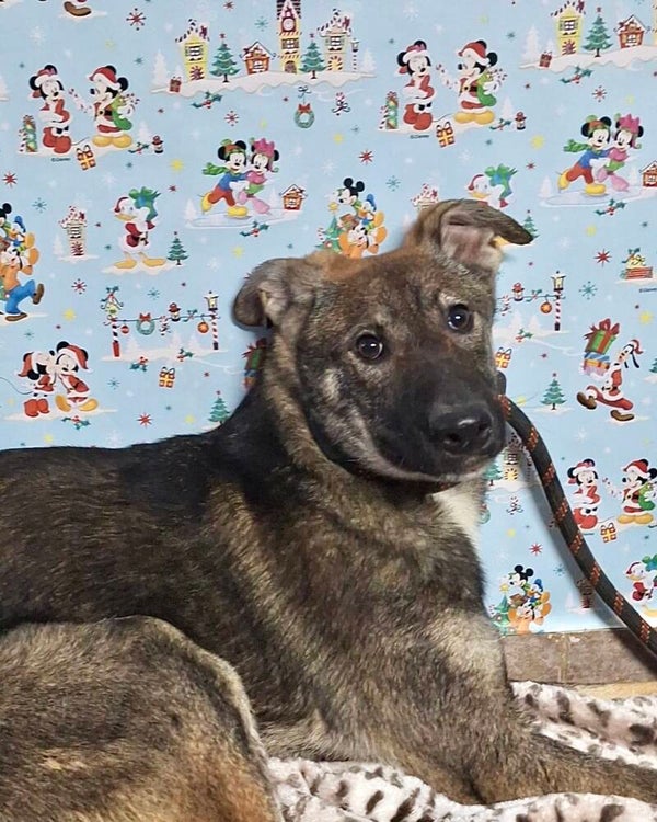 PAQUITO