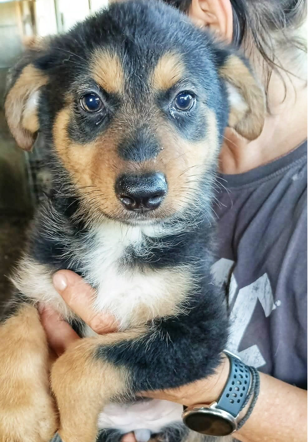 WANDA