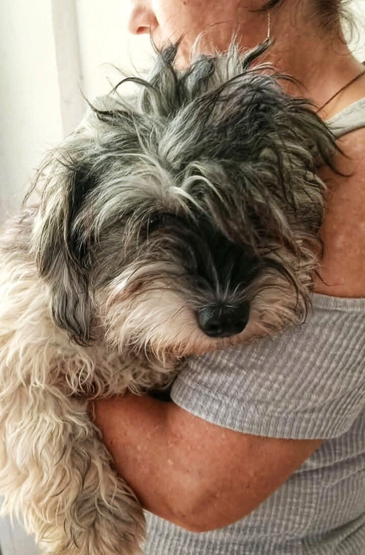LINO