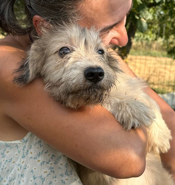 BERTI