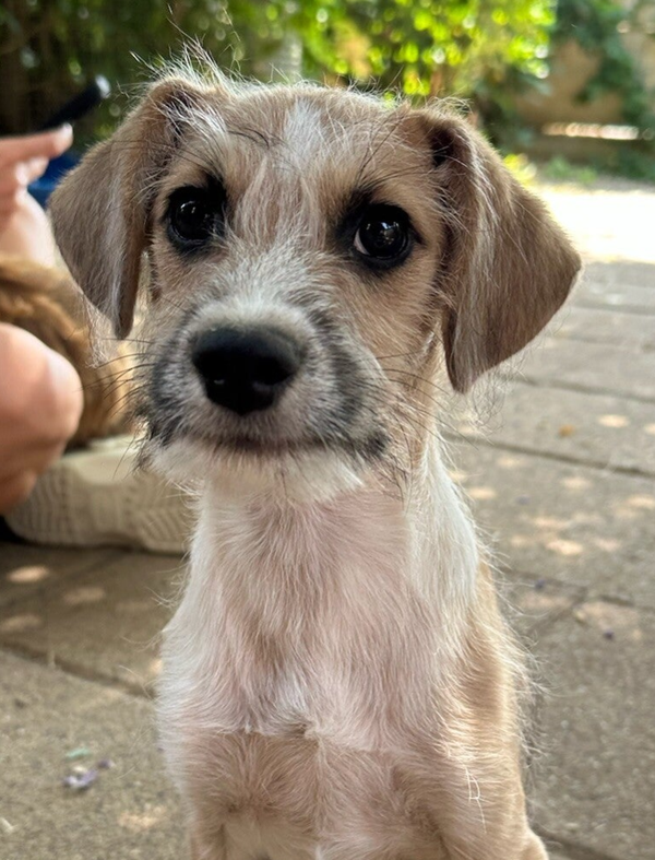 MALIBU