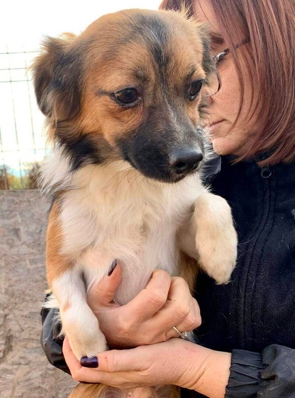 LOKI