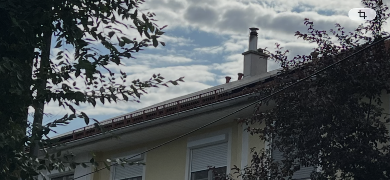 image4-standard-e4zua1.png