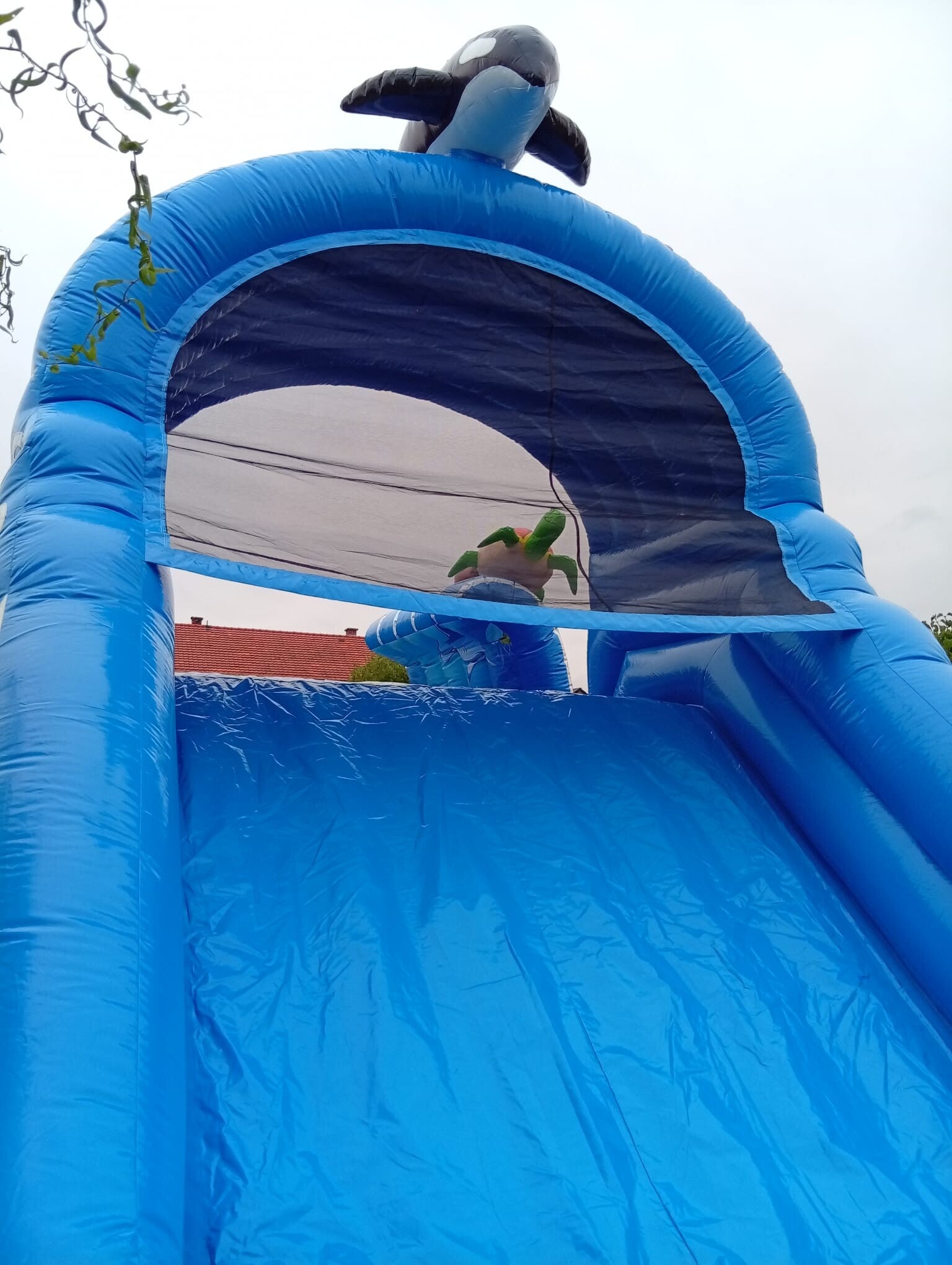 Groot springkasteel huren met glijbaan in zee- of onderwater thema, versierd met een orka bovenaan, zeedieren afbeeldingen en opblaasbare meeuwen.