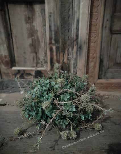 Kunst decoratie bol