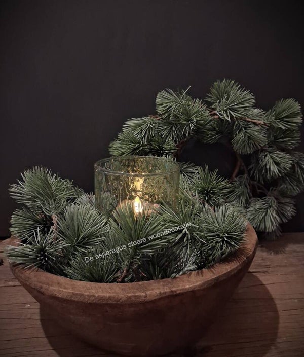 Larix krans