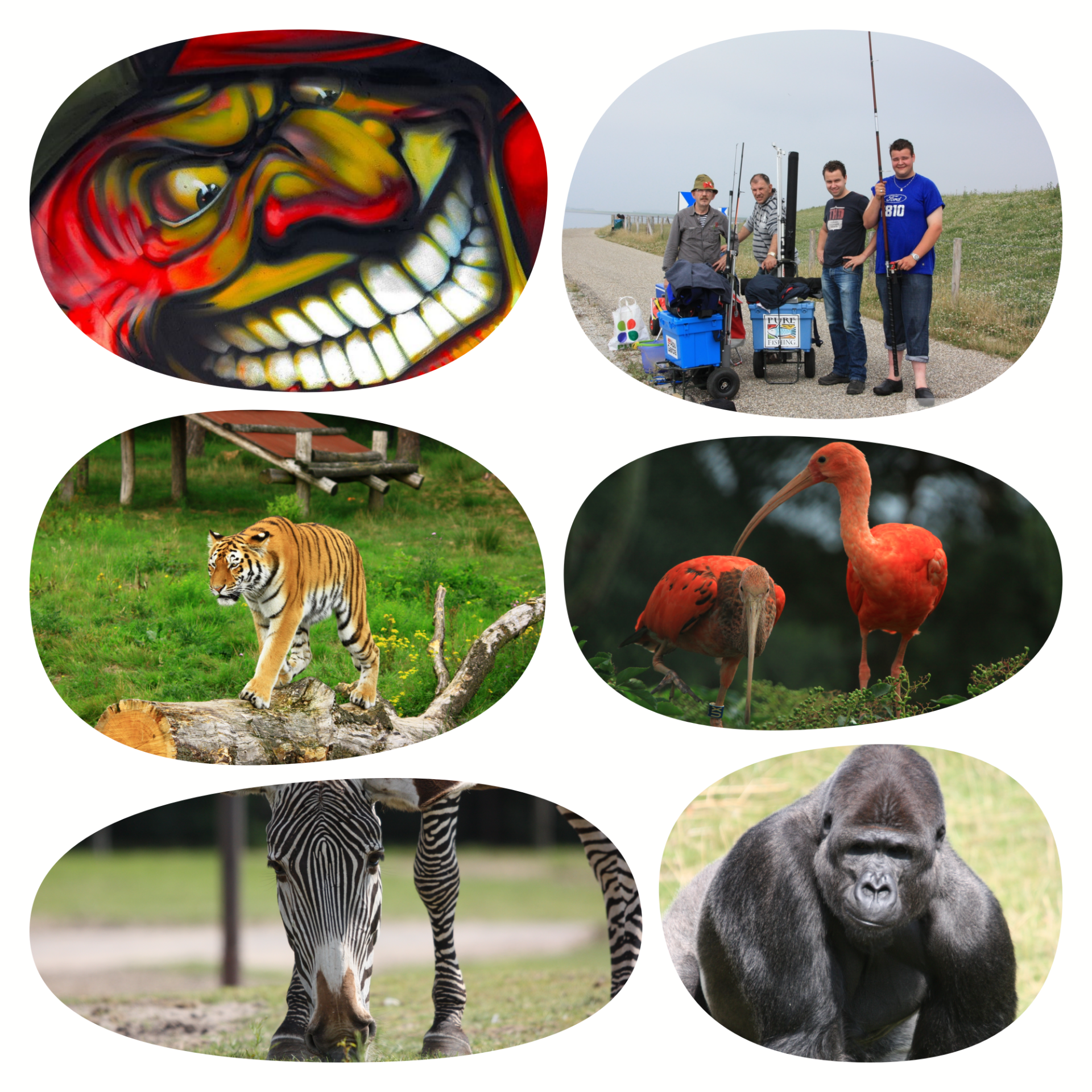 collage-6-standard-2kh9qn.png