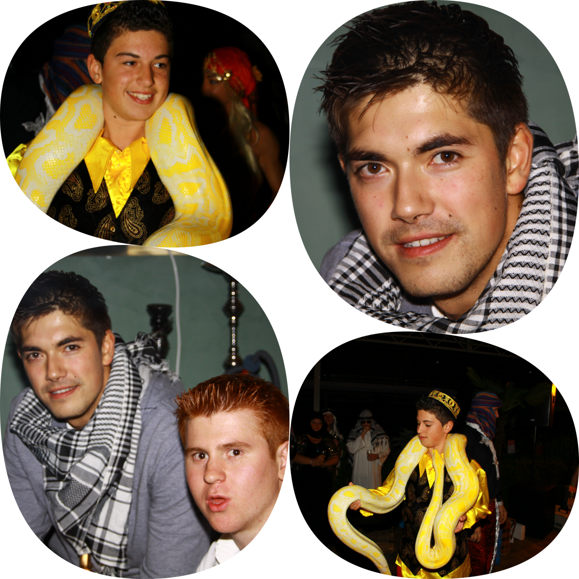 collage-png-51-standard-qdsh1a.png