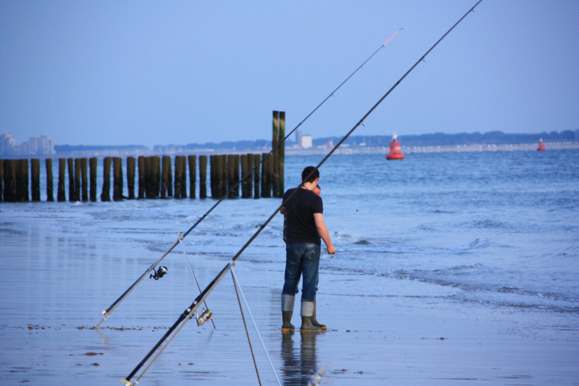 img_3774-standard.jpg