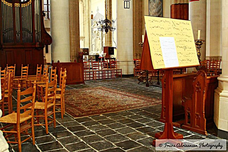 img_4401-standard.jpg