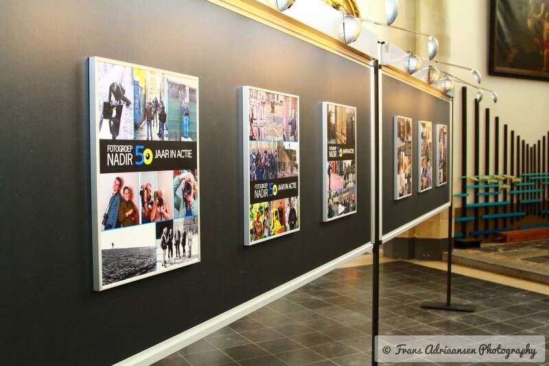 img_4431-standard.jpg