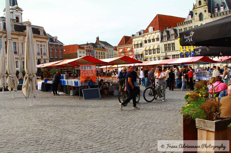 img_4449-standard.jpg