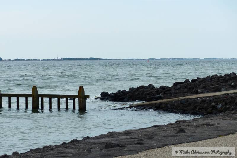 p1140106-standard.jpg