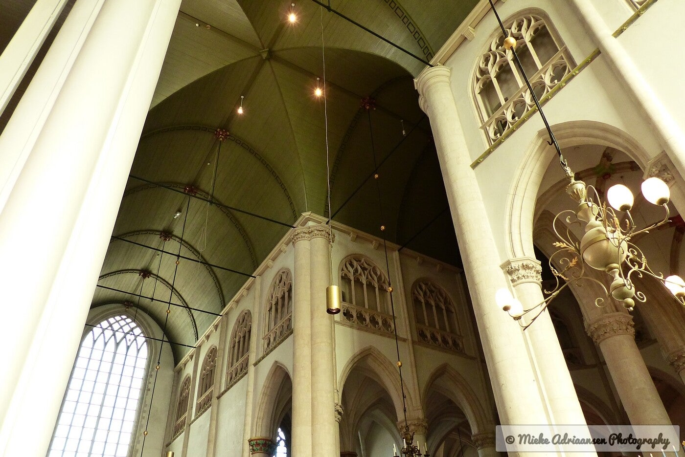 p1140214-standard.jpg