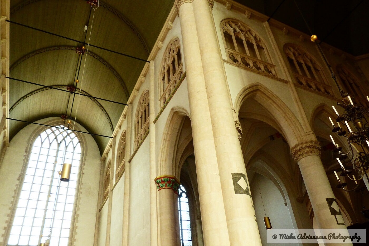 p1140224-standard.jpg