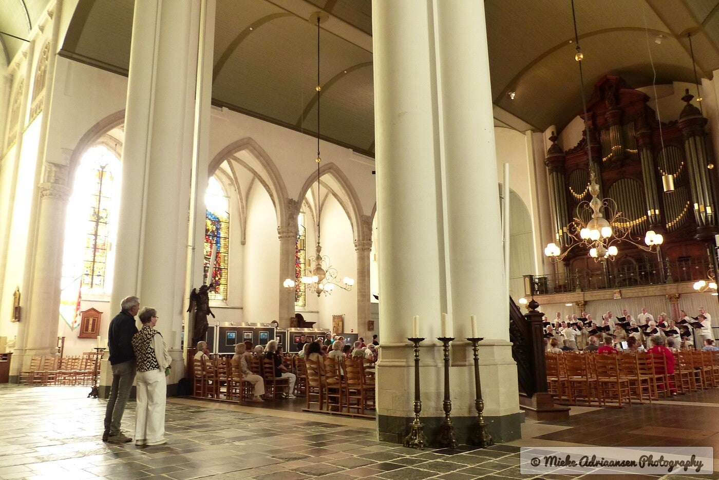 p1140234-standard.jpg