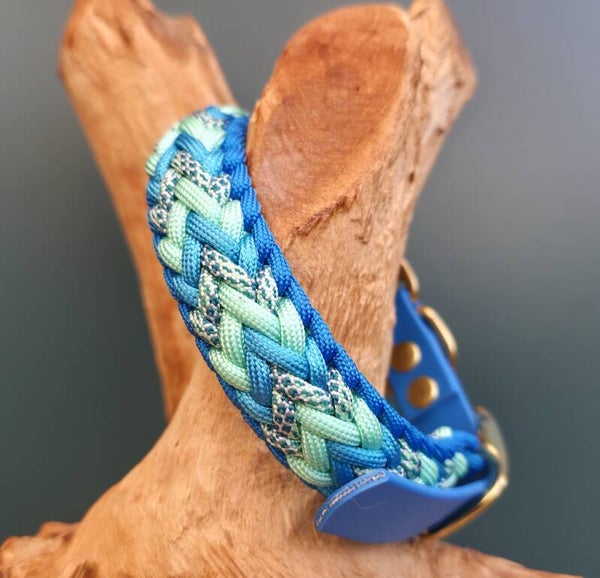 Blue Curaçao - mini maat 29-33 cm