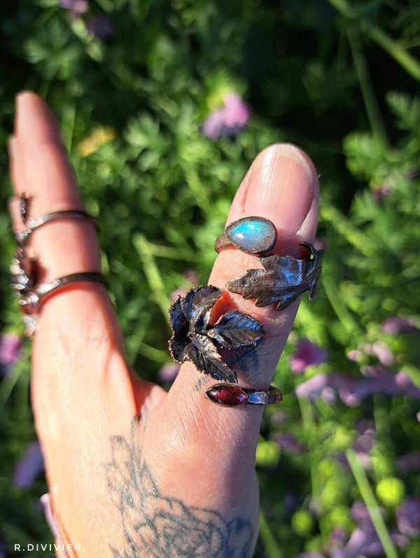 ✨️Mitbringsel aus dem Garten ✨️