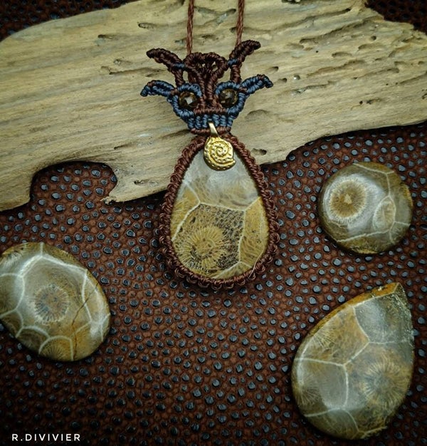 Korallenfossil