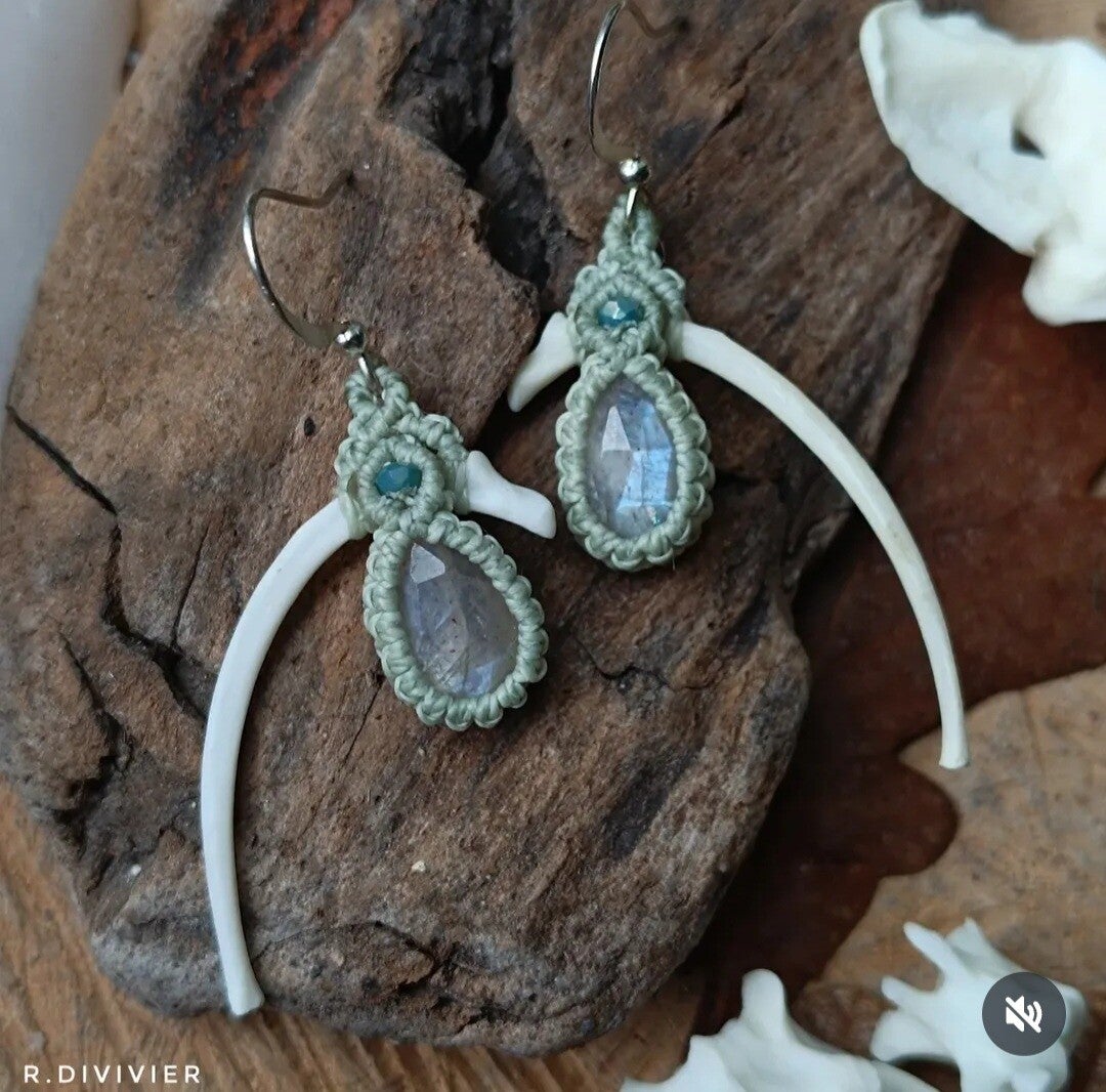 ✨ Mondstein und Marderrippen ✨