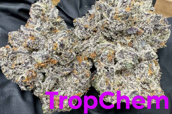California Za TropChem THCa Flower pound