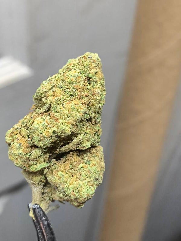 Quarter Pound 112g Blueberry Muffin THCA Flower