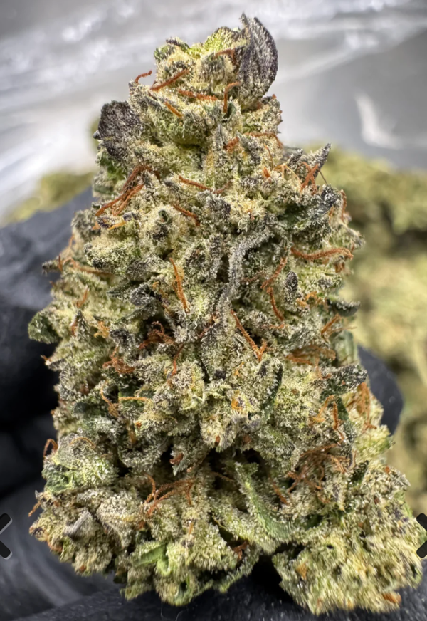 1 Pound Kush Mintz THCA Hemp Flower