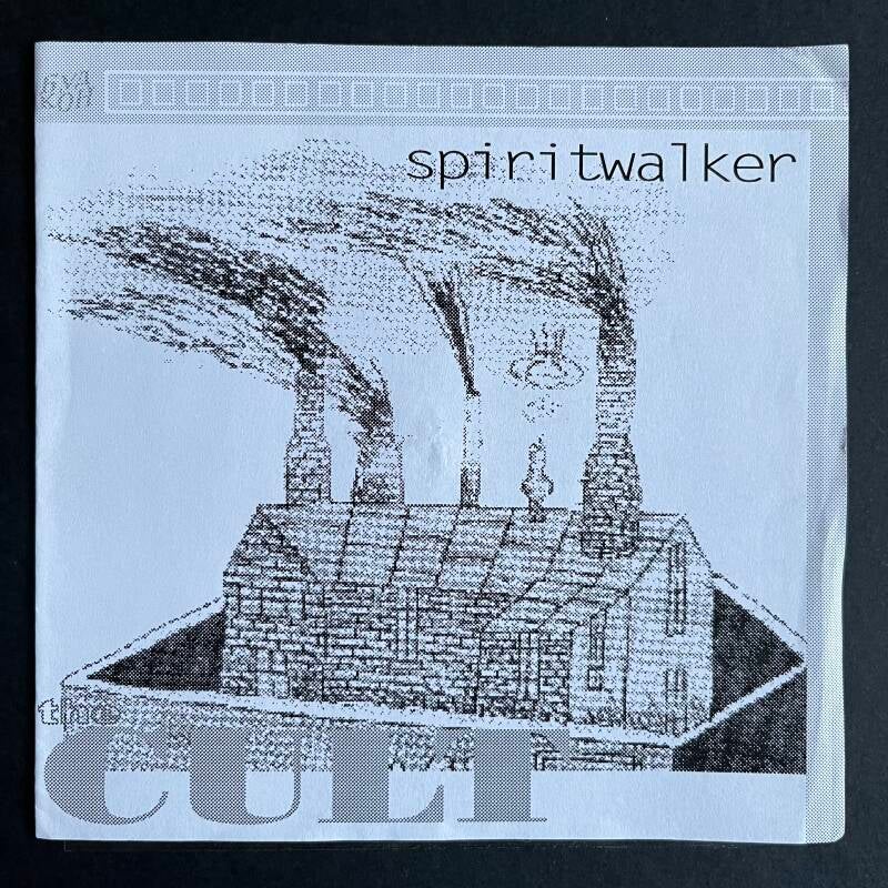 RUS буд кон – Д60 7914 Flexi-disc, 5½", Single Sided, clear