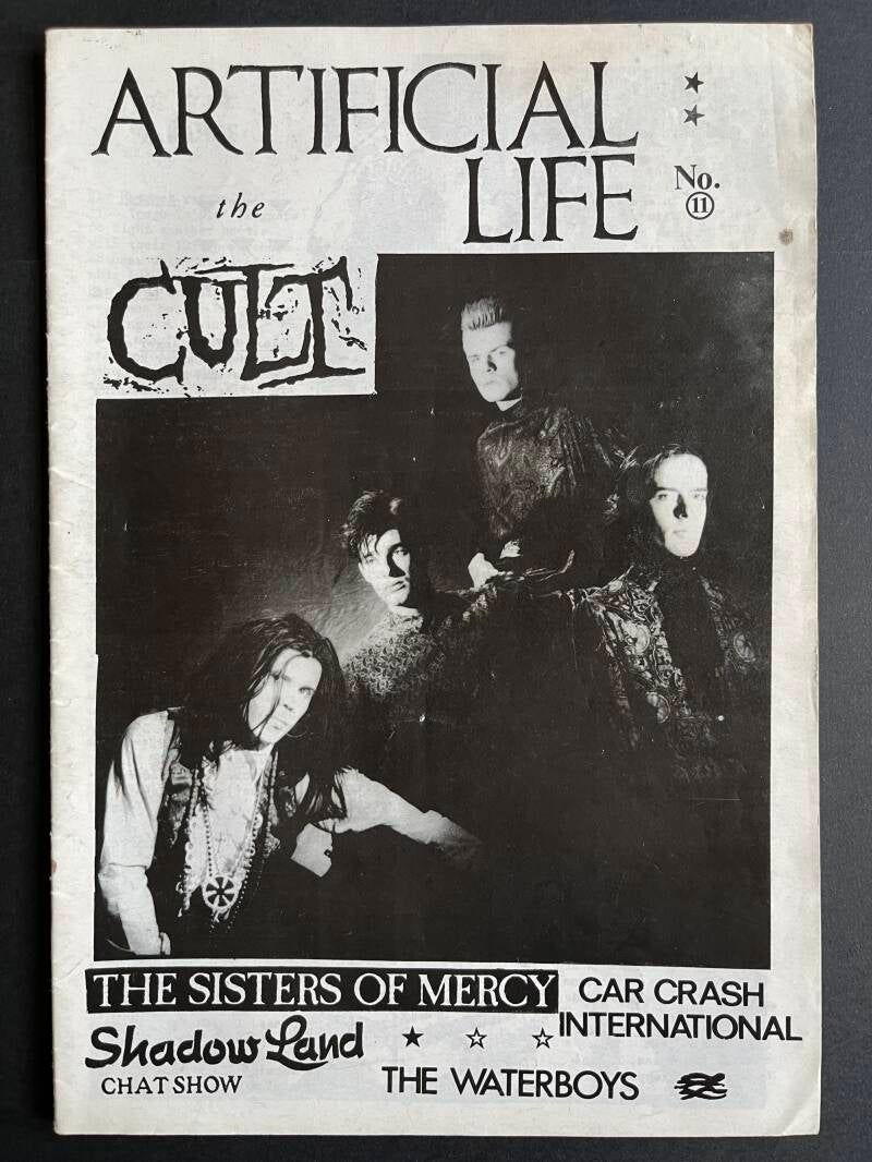 Artificial Life No. 11