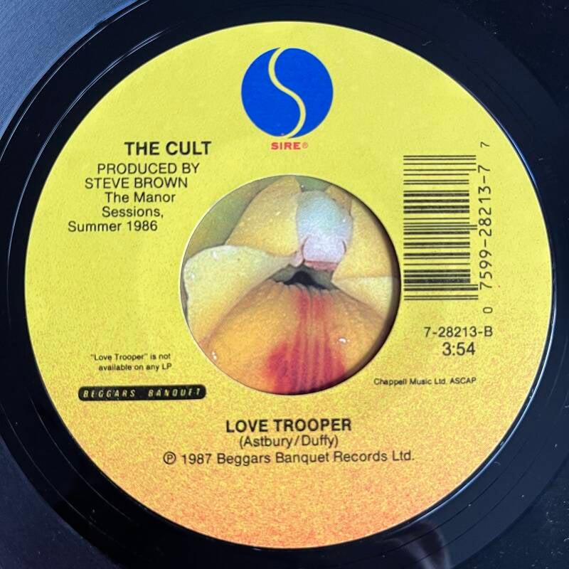 USA 9 28213 7 poster bag