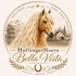 HaflingerHoeveBellaVista