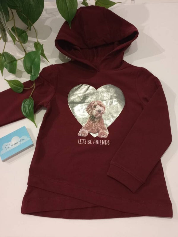 Hoody hond