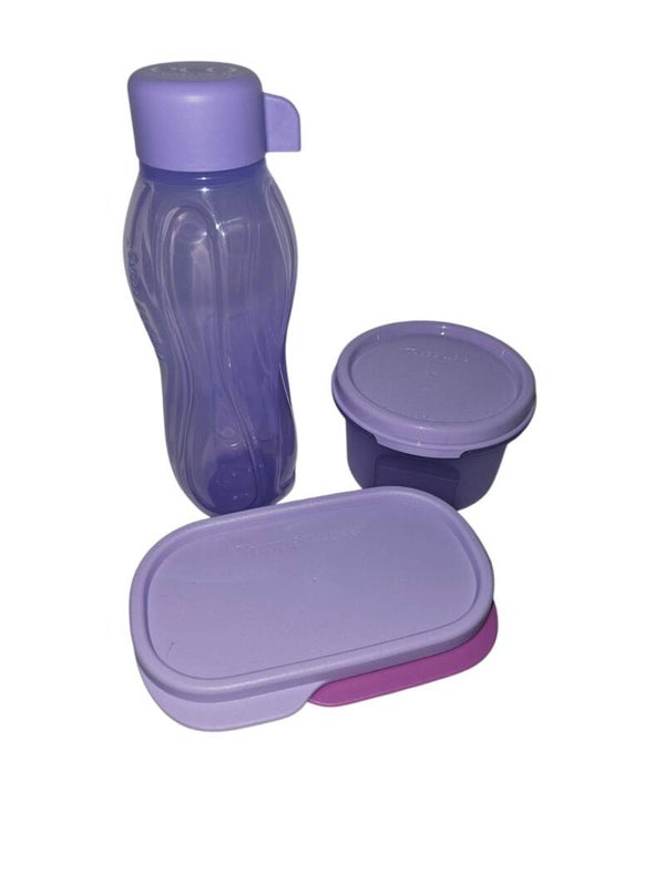 3 delige lunchset paars: ecofles 310ml draaidop, ruimtespaarder rond 200ml en ovaal 120ml