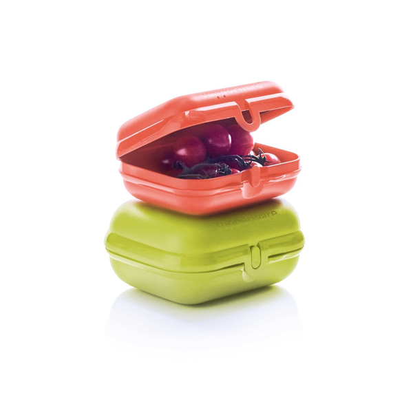 Tupperware Smartclip Set (2)