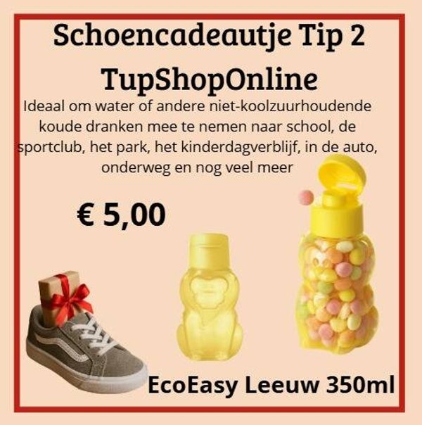 Tupperware Ecofles Kids Leeuw 350ml Schoencadeautje Ecoeasy