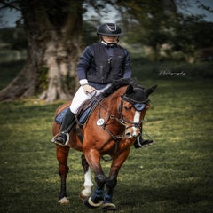 dsc00661-standard.jpg