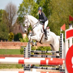 dsc04627-standard.jpg
