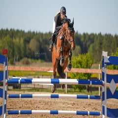 dsc06726-standard.jpg