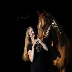 dsc09464-standard-yas0t3.jpg
