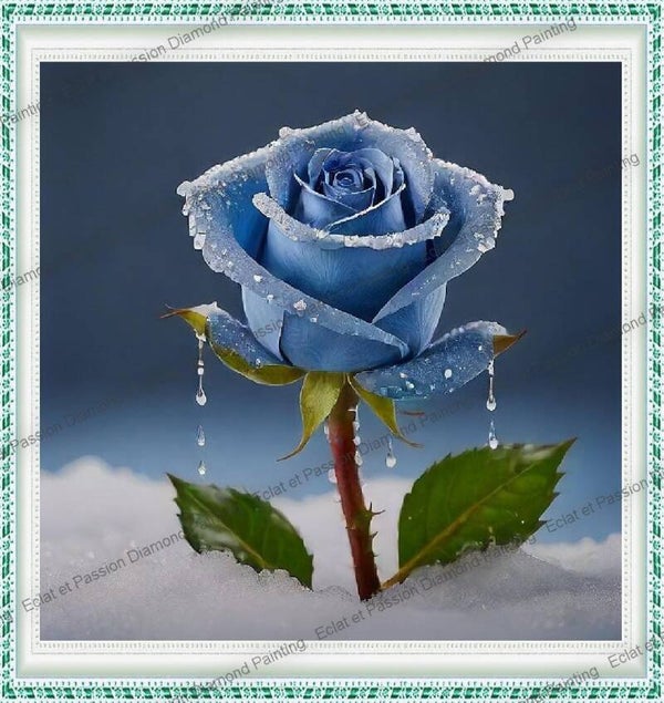 ROSE BLEU GIVREE