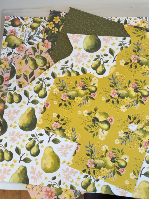 🍐 Designpapier Peren – restjes €3
