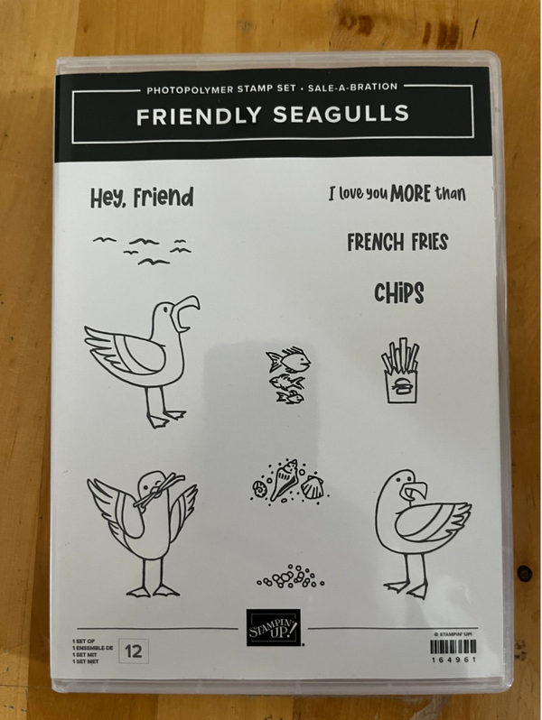 Friendly seagulls