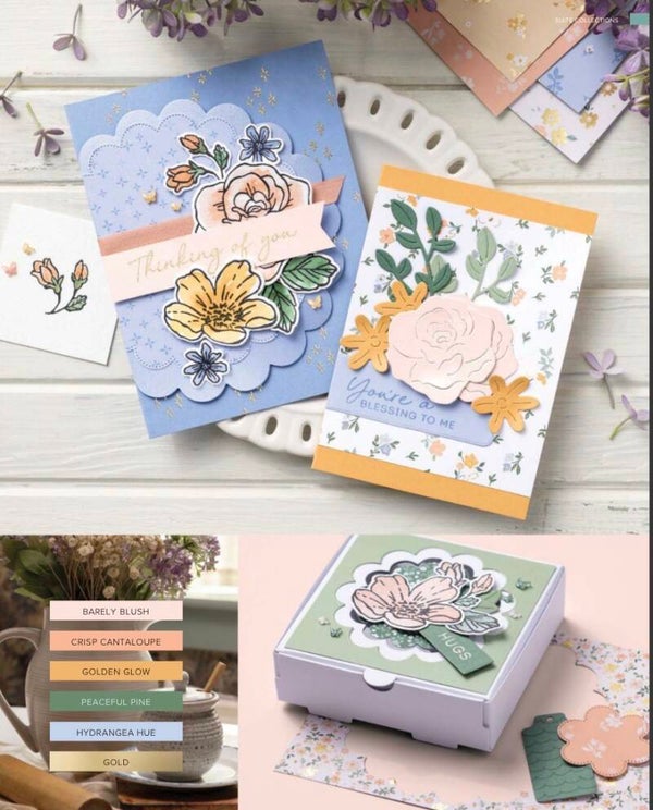 Zaterdag 27 juni – Kaartendoosje en cadeaulabels