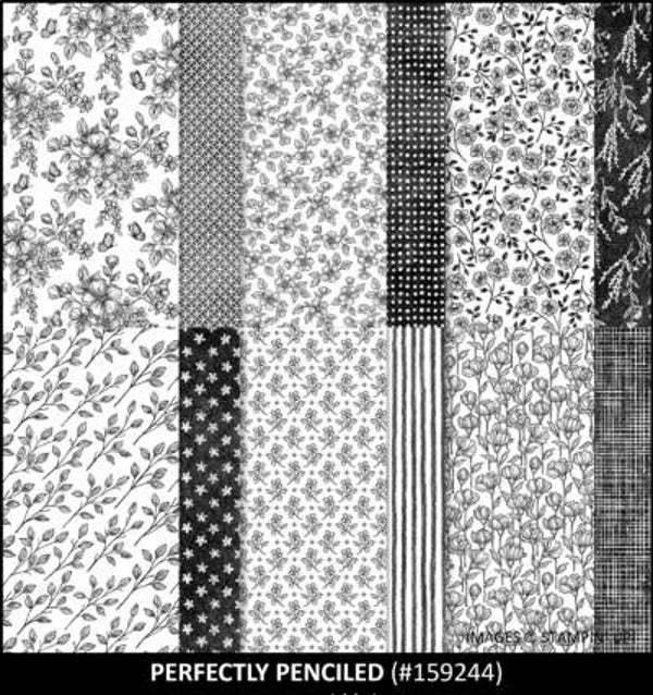 Dsp perfectly penciled