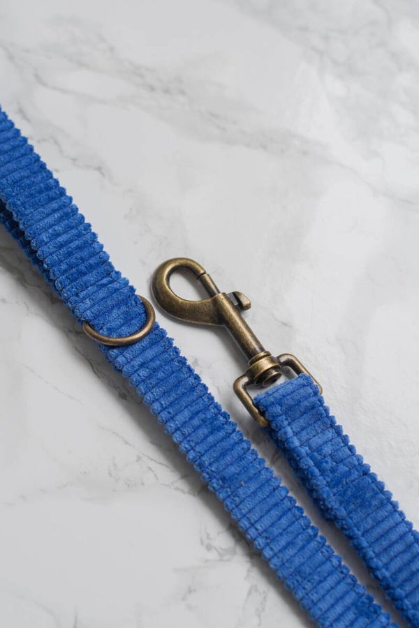 Leash - Royal Blue