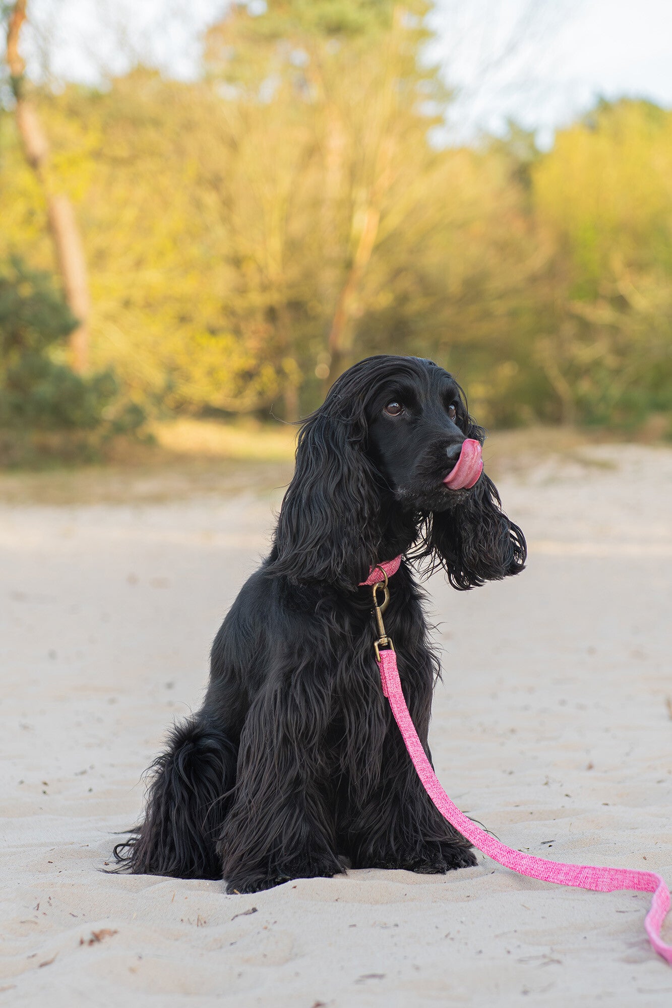 Leash - Fuchsia