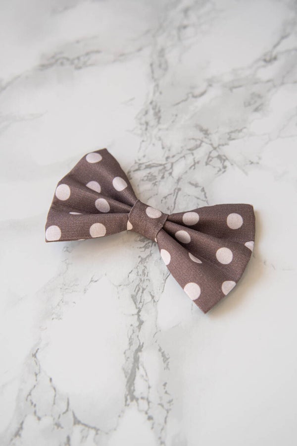 Bow - Polka Dots Brown