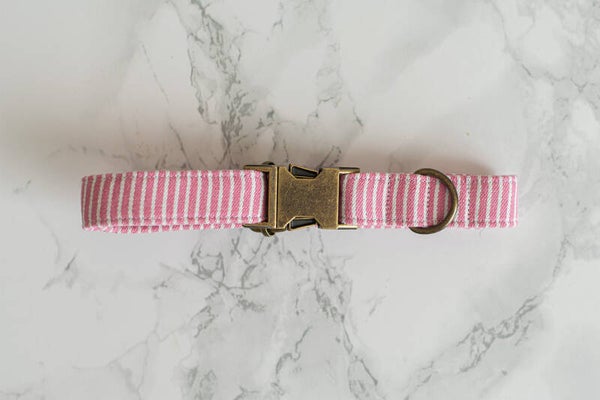 Collar - Bubblegum Pink