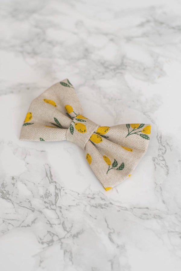 Bow - Touch of Lemon
